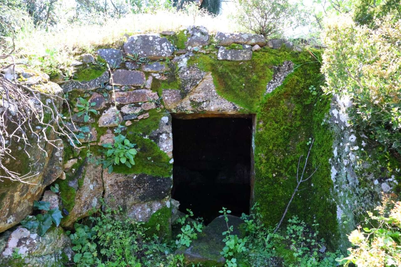 Bodrum’da Kültür Ve Doğa Yürüyüşleri Yoğun Katılımla Sürüyor 3